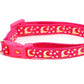Gold Moons and Stars on Hot Pink Cat Collar - Pets Perfect