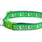 Silver Moons and Stars on Kelly Green Cat Collar - Pets Perfect