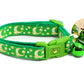 Gold Moons and Stars on Kelly Green Cat Collar