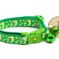 Gold Moons and Stars on Kelly Green Cat Collar