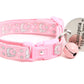 Silver Moons and Stars on Powder Pink Cat Collar - Pets Perfect