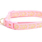 Gold Moons and Stars on Powder Pink Cat Collar - Pets Perfect