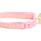 Gold Moons and Stars on Powder Pink Cat Collar - Pets Perfect