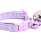 Silver Moons and Stars on Pastel Purple Cat Collar - Pets Perfect