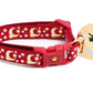 Gold Moons and Stars on Dark Red Cat Collar - Pets Perfect