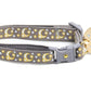 Gold Moons and Stars on Silver Cat Collar - Pets Perfect