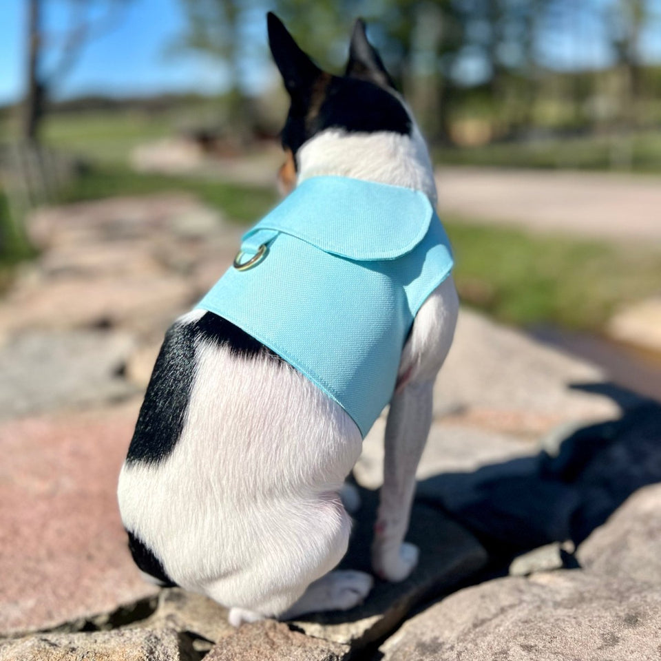 DoggieCoutureNY Aqua Canvas Harness Vest, XS, view 2