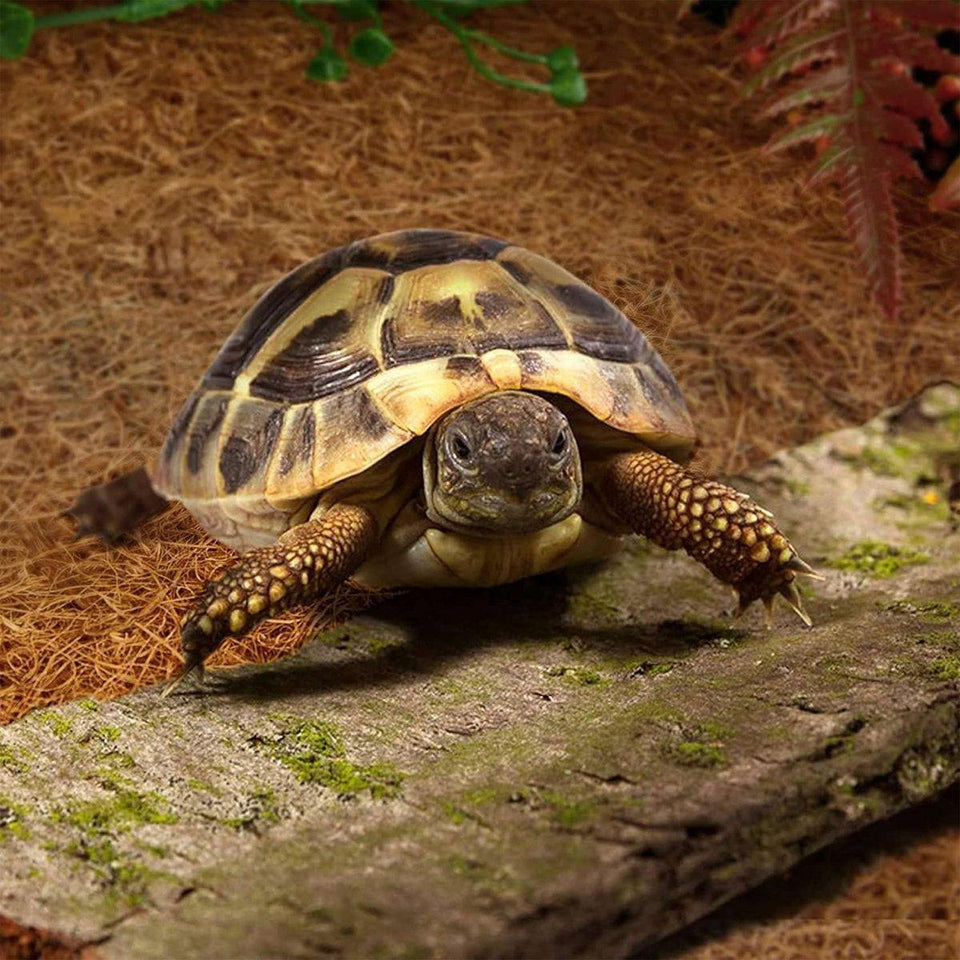 Reptile Terrarium Liner, Coconut Fiber Mat for Tortoises, Reptiles, view 5