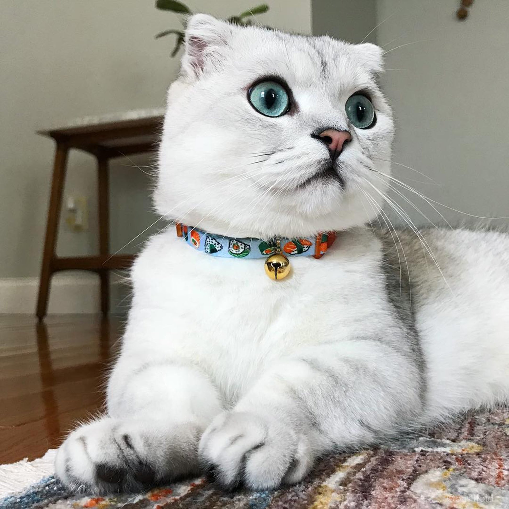 Coastal Safe Cat Fashion Adjustable Breakaway Cat Collar-Sushi, view 2