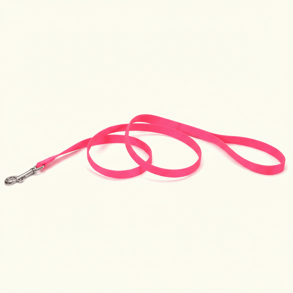 Coastal SinglePly Nylon Dog Leash Neon Pink, 3/4 in x 6 ft, view 5