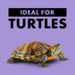 Zilla Basking Platform Corner Ramp for Reptiles, Small