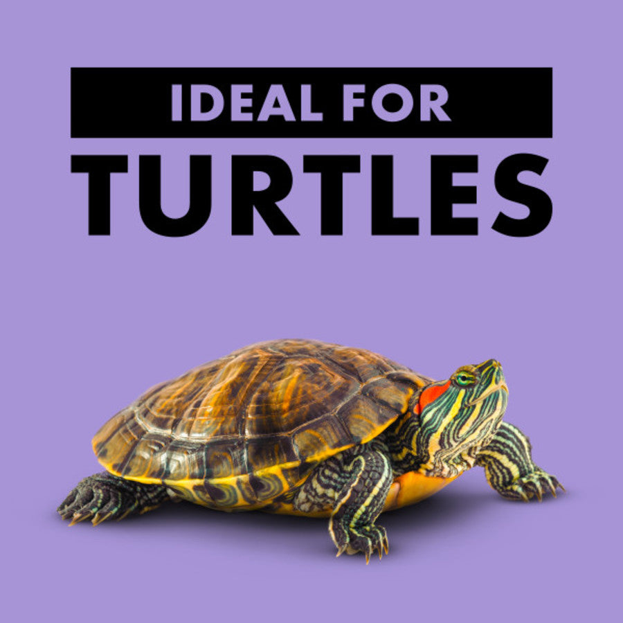 Red-eared slider turtle on a purple background with "IDEAL FOR TURTLES" text.