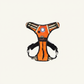 Orange Headlight Harness