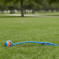 Chuckit! Sport Launcher Dog Toy Assorted 1ea/26 in, LG - Pets Perfect