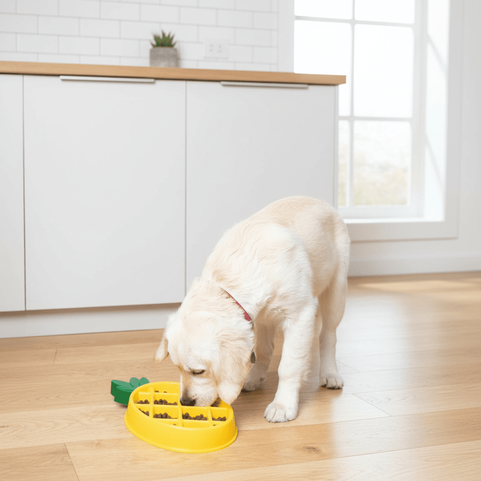 ZippyPaws Happy Bowls - Pineapple Slow-Feeder Dog Bowl - Pets Perfect
