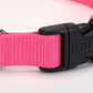 Coastal Adjustable Nylon Dog Collar with Plastic Buckle Neon Pink, 1ea/3/4 In X 1420 in - Pets Perfect