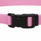 Coastal Adjustable Nylon Dog Collar with Plastic Buckle Bright Pink, 1ea/5/8 In X 1014 in - Pets Perfect