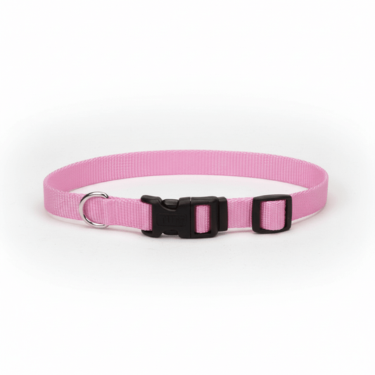 Pink Dog Collar Front View