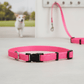 Coastal Adjustable Nylon Dog Collar with Plastic Buckle Neon Pink, 1ea/3/8 In X 812 in - Pets Perfect
