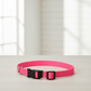 Coastal Adjustable Nylon Dog Collar with Plastic Buckle Neon Pink, 1ea/3/4 In X 1420 in - Pets Perfect