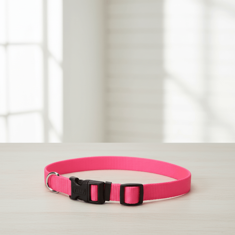 Coastal Adj. Nylon Dog Collar with Plastic Buckle Neon Pink, view 4