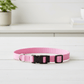Coastal Adjustable Nylon Dog Collar with Plastic Buckle Bright Pink, 1ea/5/8 In X 1014 in - Pets Perfect
