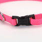 Coastal Adjustable Nylon Dog Collar with Plastic Buckle Neon Pink, 1ea/3/8 In X 812 in - Pets Perfect