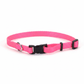 Coastal Adjustable Nylon Dog Collar with Plastic Buckle Neon Pink, 1ea/3/8 In X 812 in - Pets Perfect
