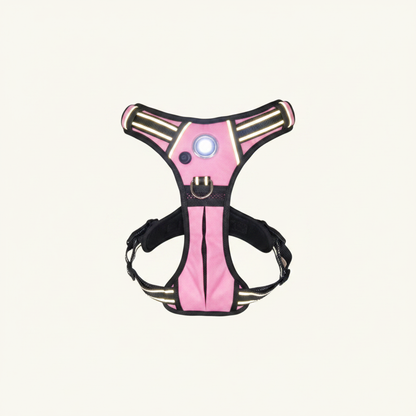 Pink Headlight Harness
