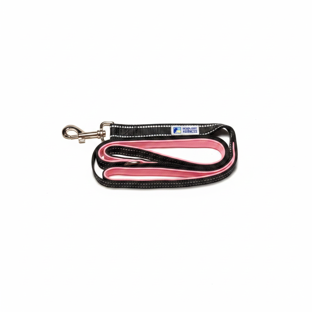 Pink Leash - White Background