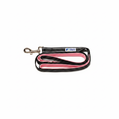 Pink Leash - White Background