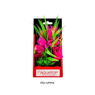 AquaTop Vibrant Passion Plant, Pink, 6 in