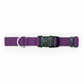 Coastal Adjustable Nylon Dog Collar with Plastic Buckle Purple, 1ea/3/8 In X 812 in - Pets Perfect