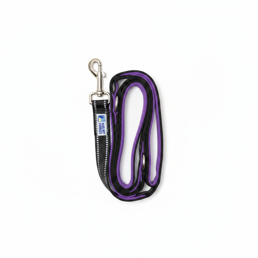 Purple Leash - White Background