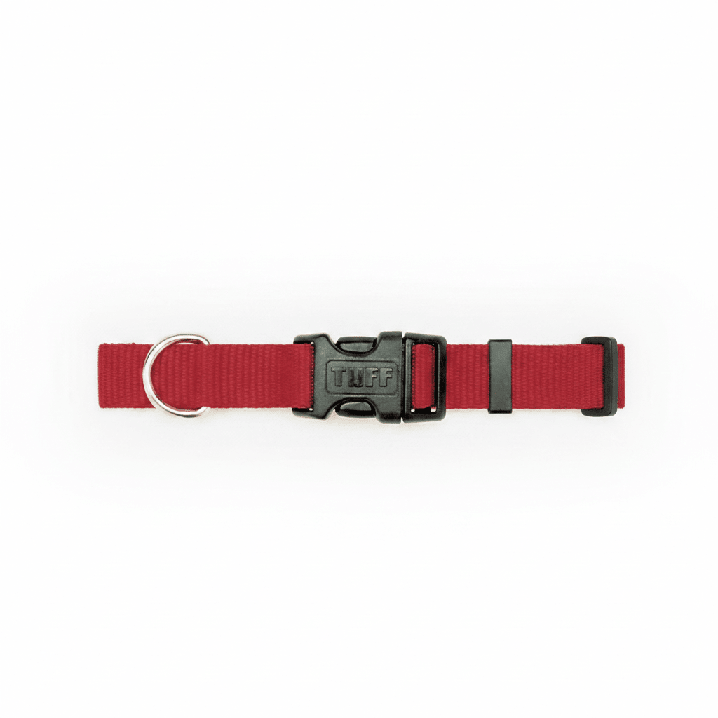 Coastal Adjustable Nylon Dog Collar with Plastic Buckle Red, 1ea/3/8 In X 812 in - Pets Perfect