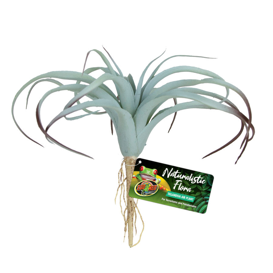 Zoo Med Naturalistic Flora Tillandsia Air Plant Terrarium Plant, Gray, Tan