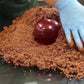 Zoo Med Excavator Clay Burrowing Substrate Brown 10 lb