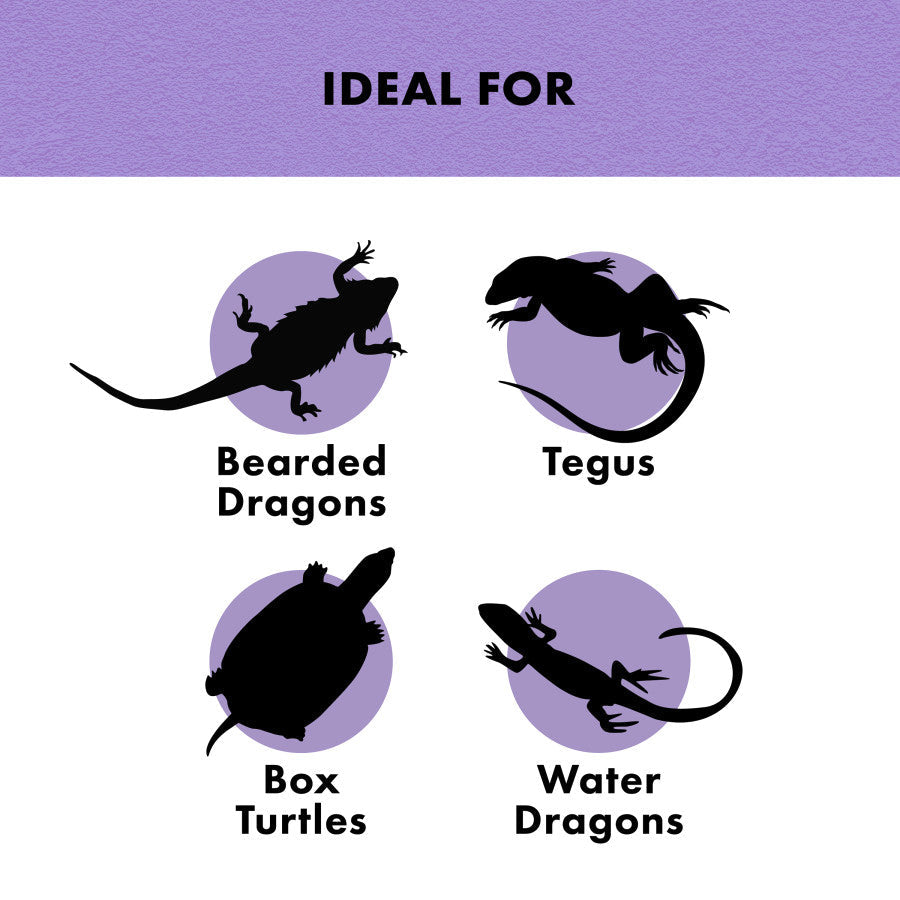 Silhouettes of a bearded dragon, tegu, box turtle, and water dragon on a purple background with "IDEAL FOR" text.