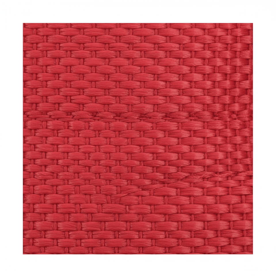 Coastal DoublePly Nylon Traffic Dog Leash Red, 1 in x 24 in, view 4
