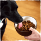 Earth Animal Dog Wisdom Air - Dried From The Land 2 lb - Pets Perfect